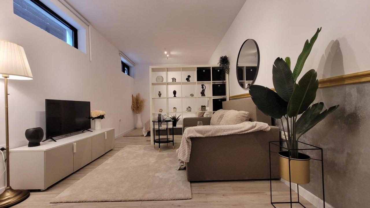Apartament Luxury Mansion *