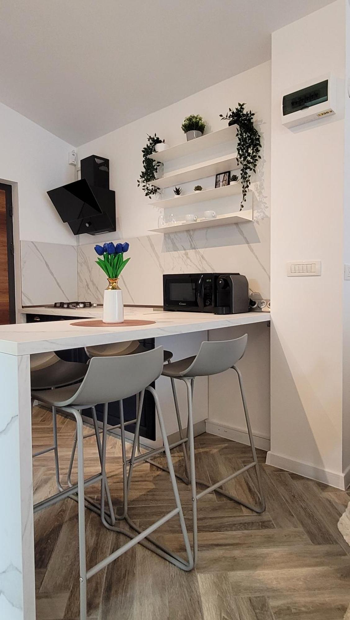 Luxury Mansion Apartament
